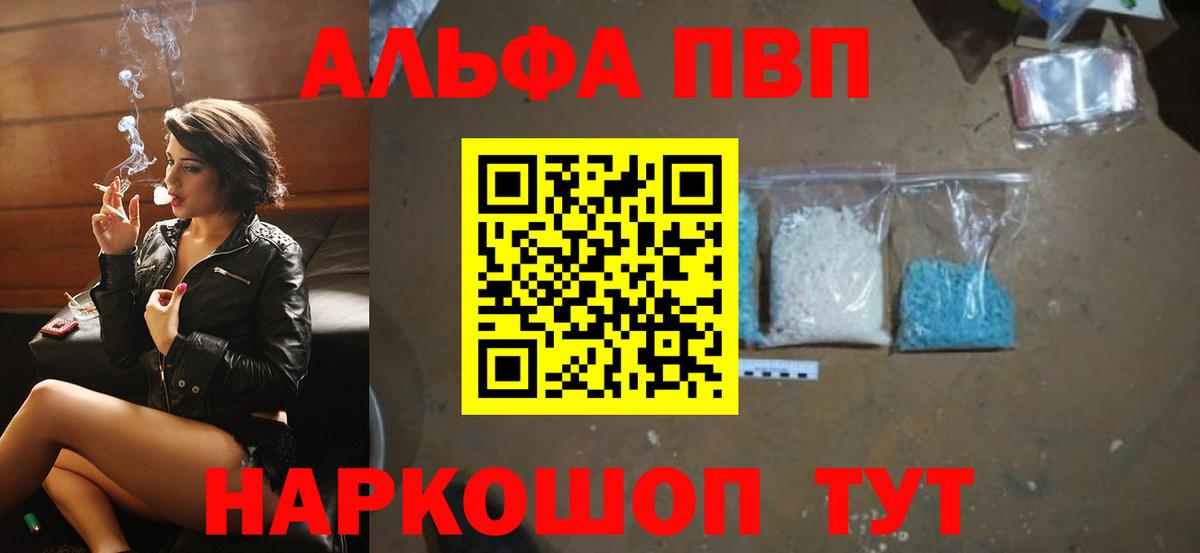 A PVP СК Новоалександровск