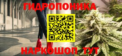 прущие крисы Татарск