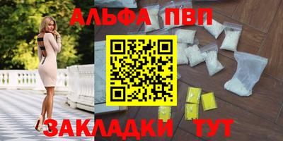 индика Тара