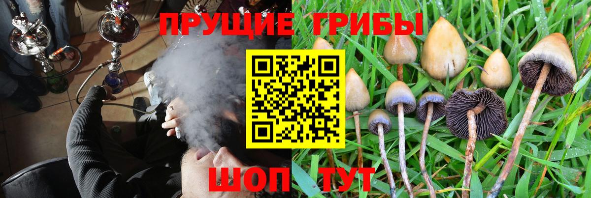 Псилоцибиновые грибы Magic Shrooms Новоалександровск